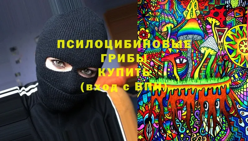 Псилоцибиновые грибы Magic Shrooms  кракен ONION  Черногорск 